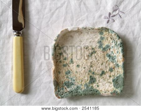 Mouldy Bread