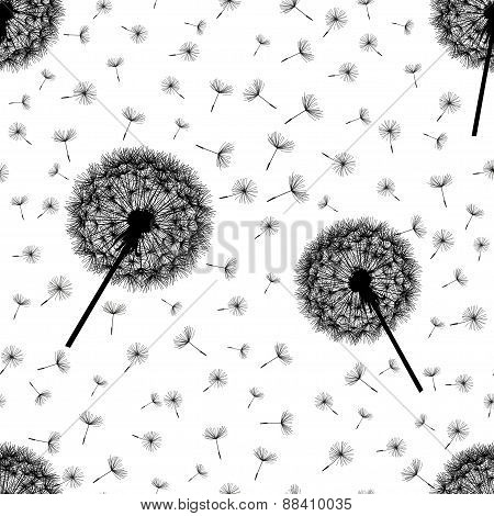 Seamless Pattern Black-white With Dandelions