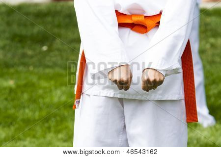 Tae Kwon Do