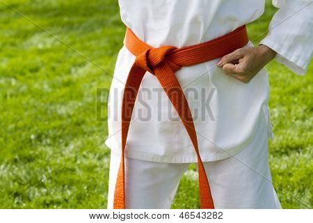 Tae Kwon Do