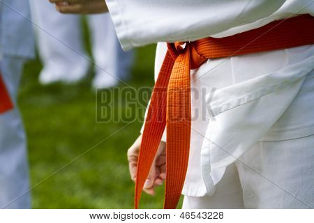 Tae Kwon Do