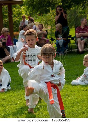 Taekwondo