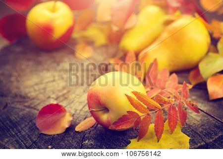 Thanksgiving border background. Autumn Fall background with colorful leaves, apples and pears, Beautiful vintage styled autumn fruits and colorful leaves over wooden table