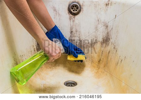 Cleaning dirty old bathtub with corrosion and mould with detersive. Hands in blue rubber worker handgloves hold sponge and spray with detergent clean bath tub covered in fungus dirt and mold