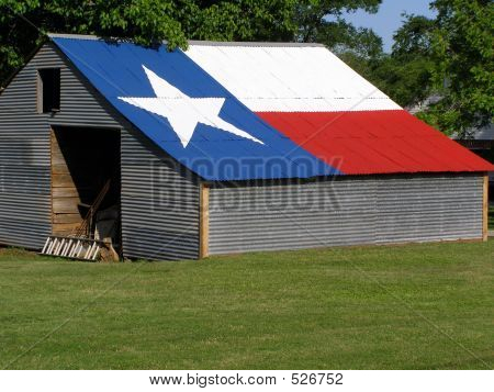 Shed With Texas Flag