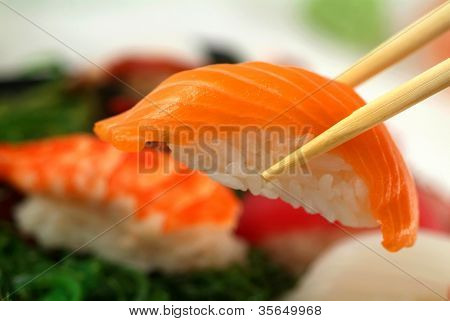 sushi susi