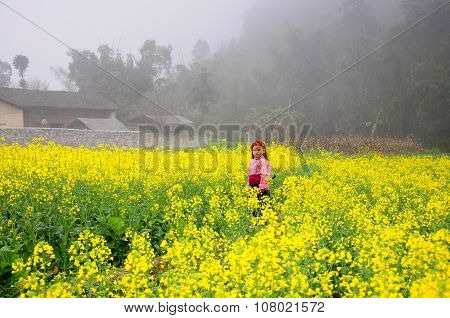 Hmong ethnic minority kids in a rapeseed flower garden in Hagiang, Vietnam