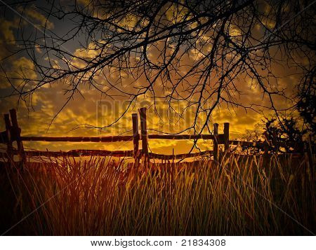 old wooden fence and a gold sunset with wheatfield , texas hill country