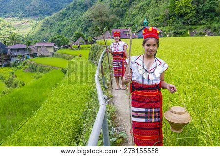 Banaue, Philippines - May 02 : Women From Ifugao Minority Near A Rice Terraces In Banaue The Philipp