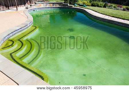 Filthy Backyard Swimming Pool And Patio