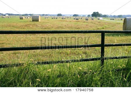 Meadow grasslands farm round cereal bales in Texas