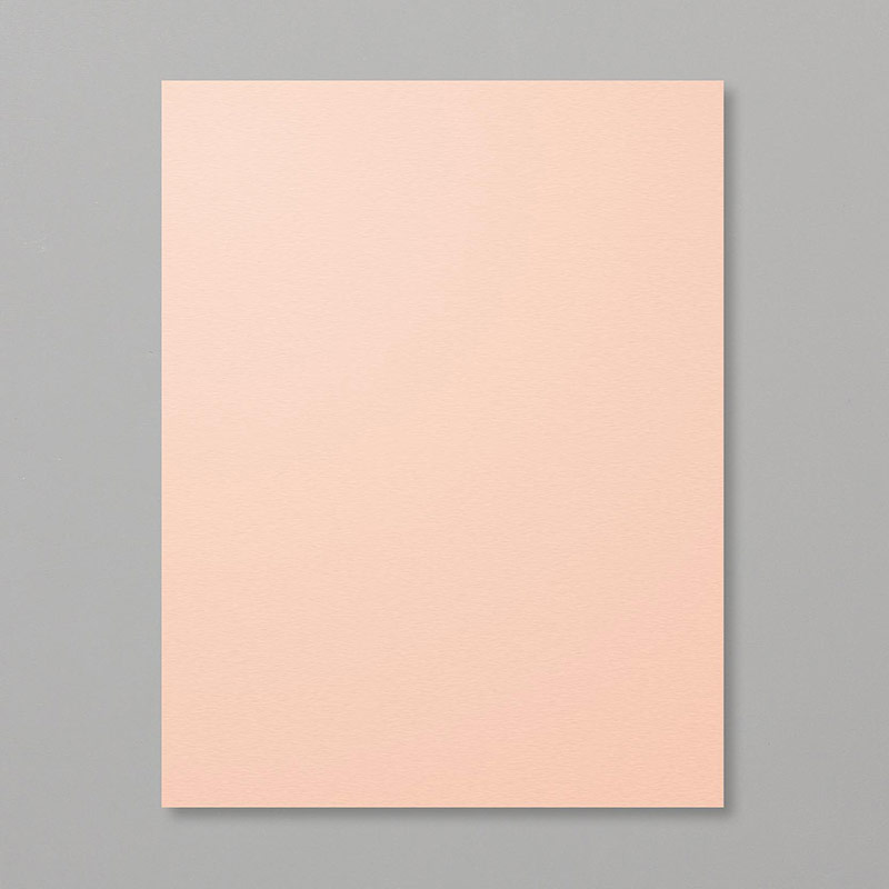 https://www.stampinup.com/ECWeb/product/146985/petal-pink-8-1-2-x-11-cardstock?dbwsdemoid=2035972