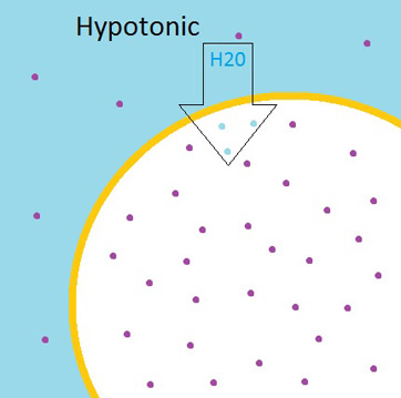 Hypotonic