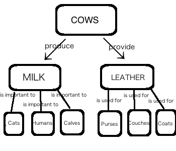 Concept Map Definition Examples Video Lesson