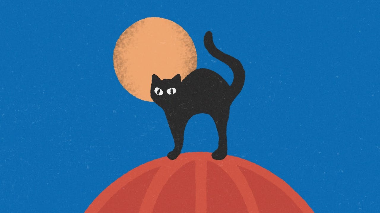 A cartoon image of a black cat standing on a red stylized orb with a yellow moon in the background