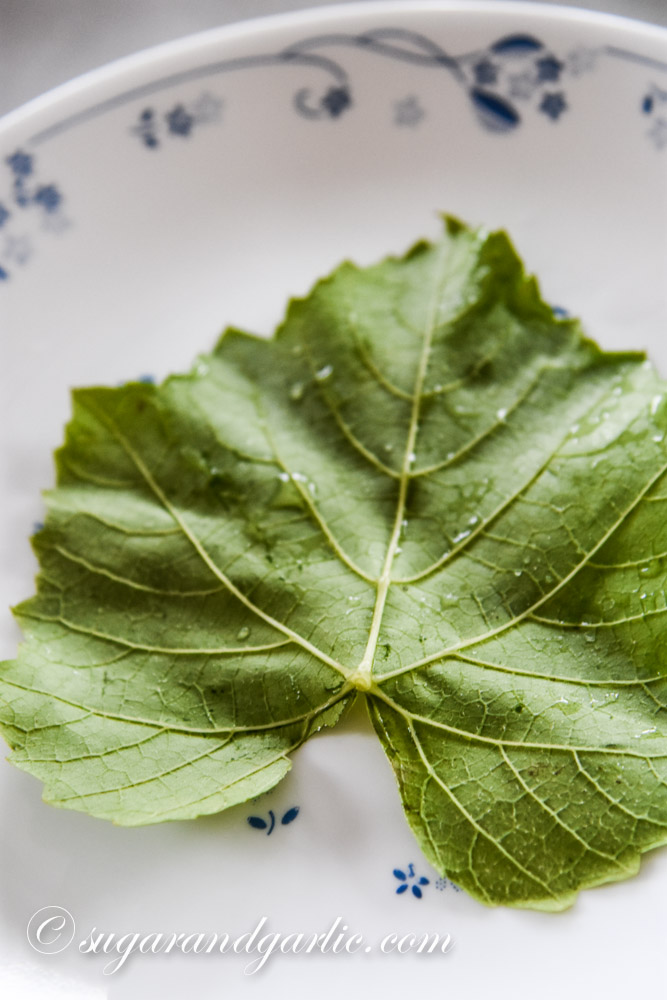 grape leaf